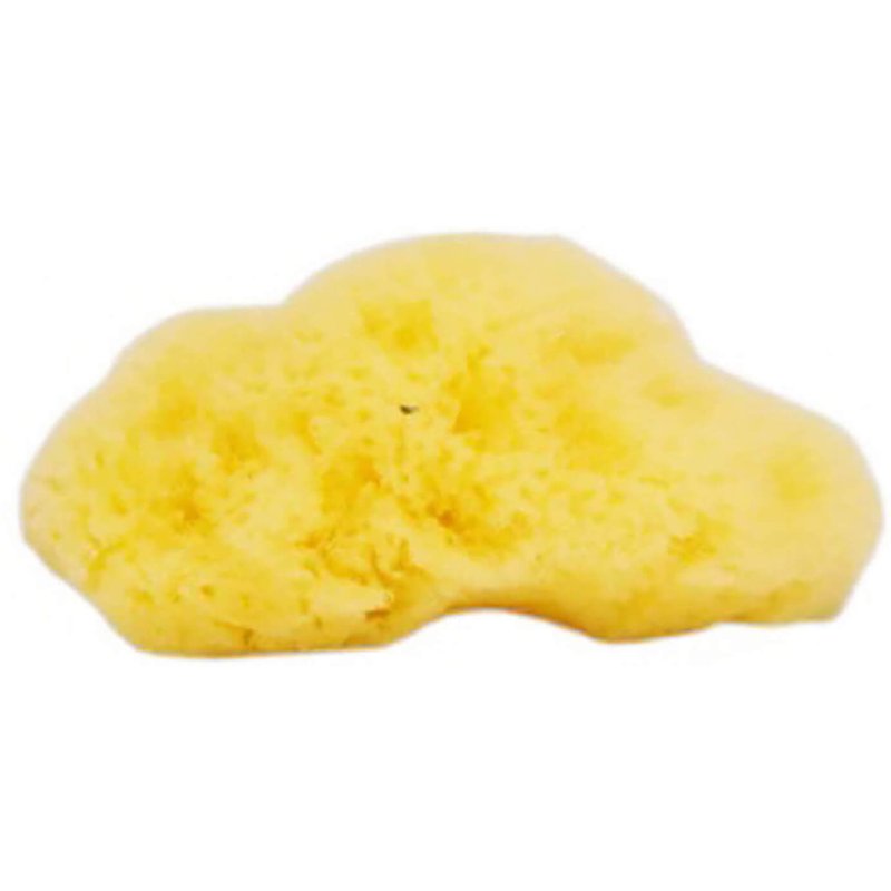 The Natural Sea Sponge Company - Fina Silk Sea Sponge (Approx 3 Inches)
