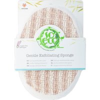 So Eco Gentle Exfoliating Sponge