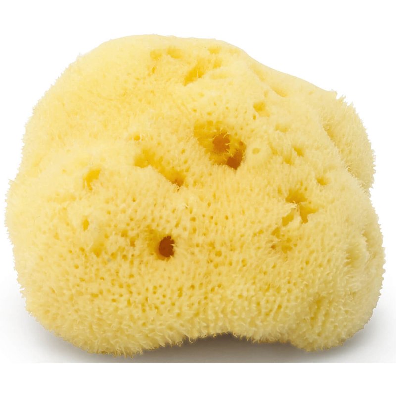 ARgENTUM la lune sur l'eau Silk Sea Face Sponge